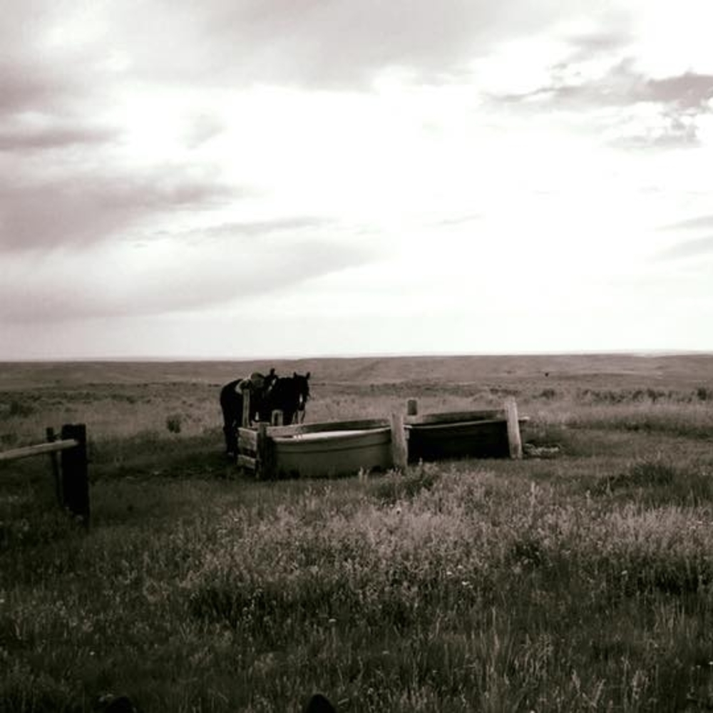 Meet your Posher, Sheila